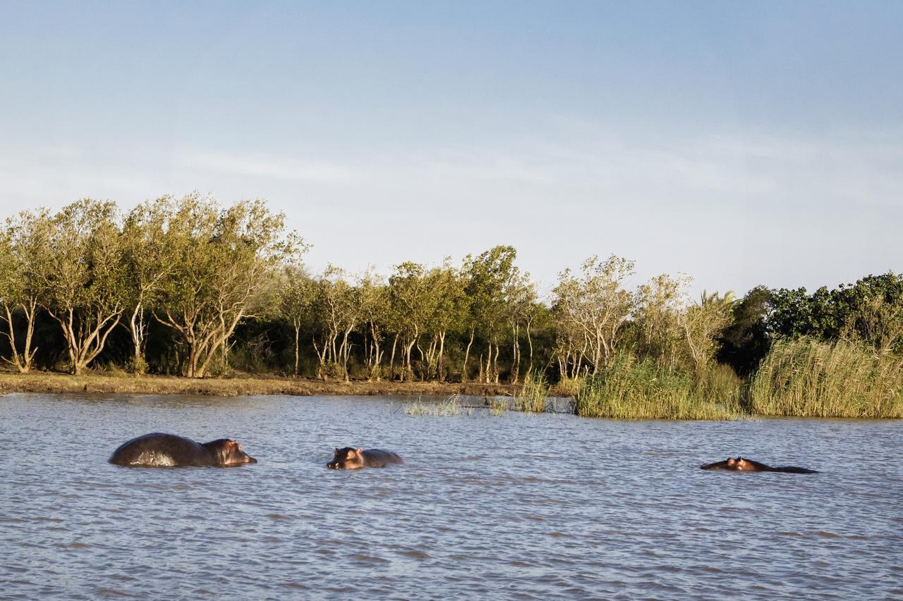 Avalone Guest House Saint Lucia Estuary Εξωτερικό φωτογραφία